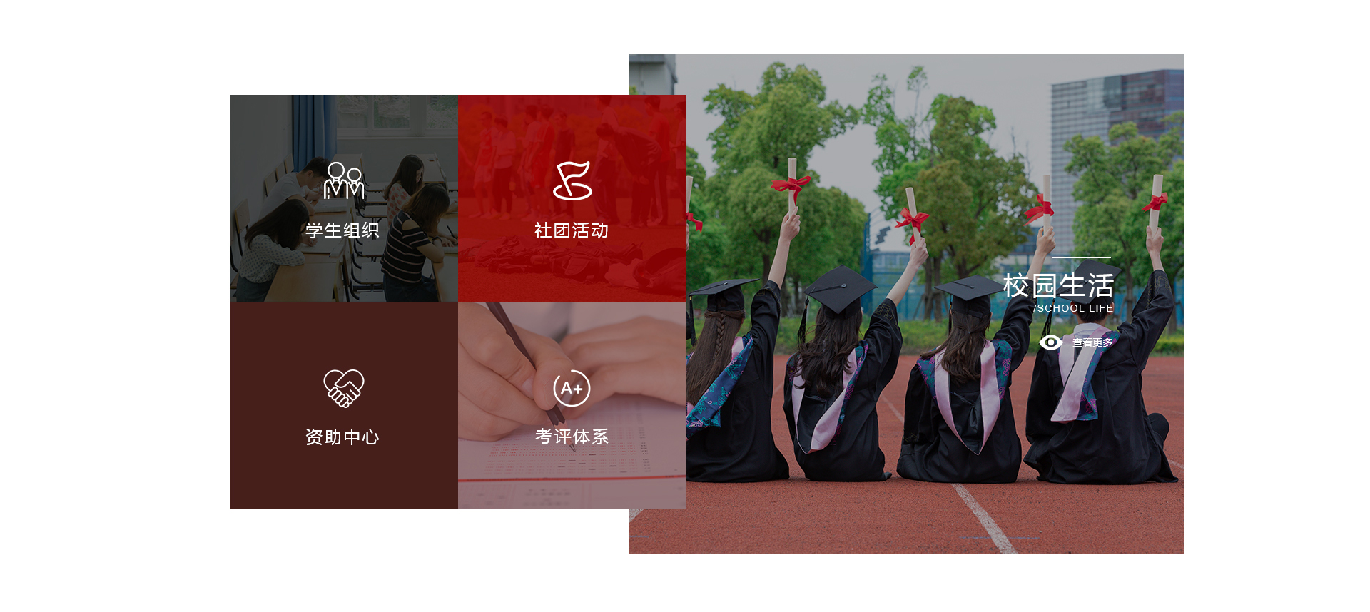 湘潭網站建設案例